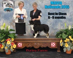 MASCA Nationals 2015